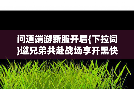 问道端游新服开启{下拉词}邀兄弟共赴战场享开黑快乐
