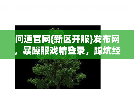 暴躁服戏精登录图片