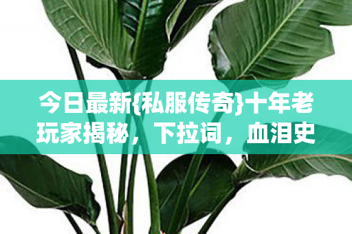 今日最新{私服传奇}十年老玩家揭秘，下拉词，血泪史内测公测避坑指南