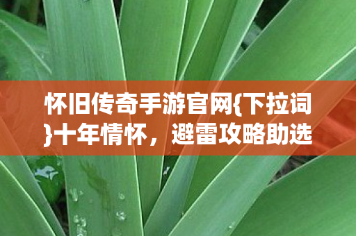 怀旧传奇手游官网{下拉词}十年情怀，避雷攻略助选好服