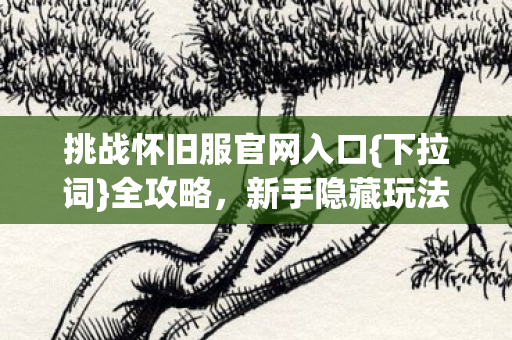 挑战怀旧服官网入口{下拉词}全攻略,新手隐藏玩法速解锁 挑战怀旧服官网入口{下拉词}全攻略,新手隐藏玩法速解锁