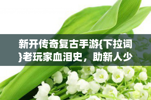 新开传奇复古手游图片