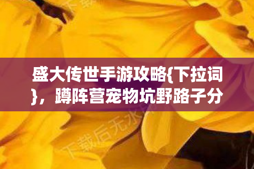 盛大传世手游攻略{下拉词}，蹲阵营宠物坑野路子分享