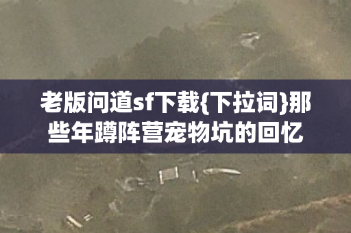那些年蹲阵营宠物坑的回忆图片