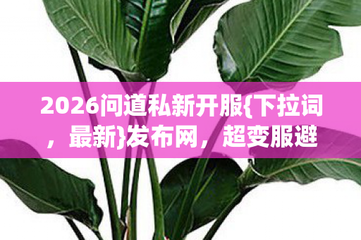 2026问道私新开服图片