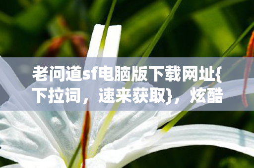 老问道sf电脑版下载网址图片