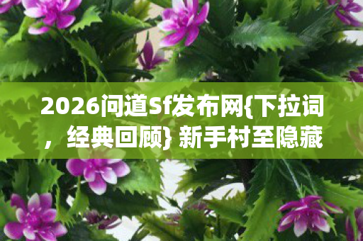 新手村至隐藏地图十年历程图片