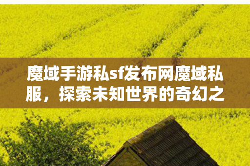 魔域手游私sf发布网魔域私服图片