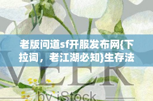 老版问道sf开服发布网图片