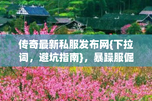 暴躁服倔驴登录键踩坑实录图片