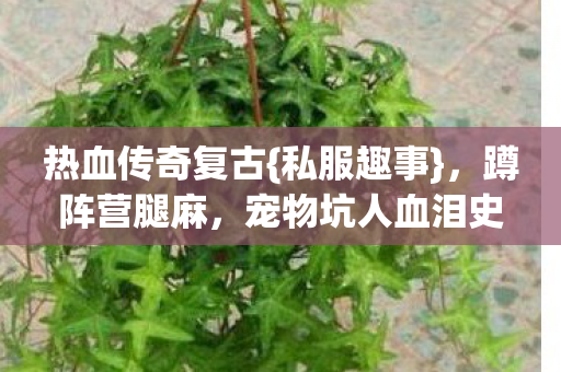 宠物坑人血泪史图片
