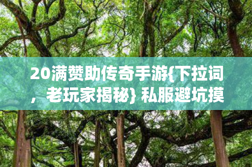 20满赞助传奇手游{下拉词，老玩家揭秘} 私服避坑摸宝指南