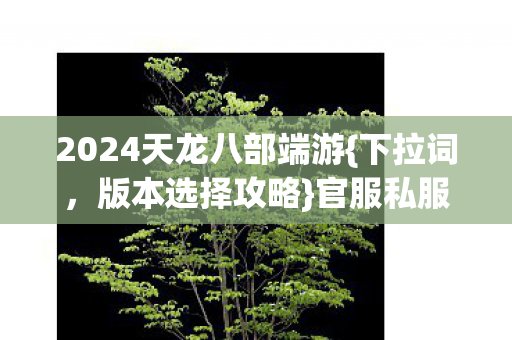 2024天龙八部端游图片