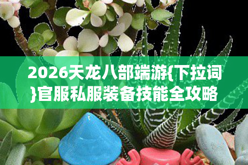 官服私服装备技能全攻略图片