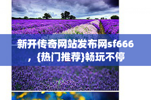 新开传奇网站发布网sf666图片