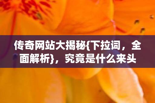 传奇网站大揭秘图片