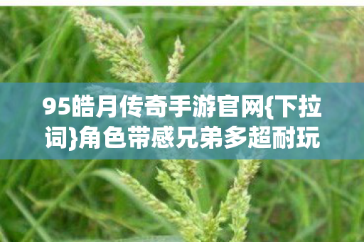 95皓月传奇手游官网图片