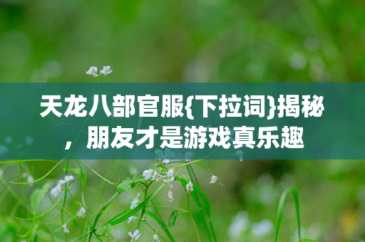 朋友才是游戏真乐趣图片