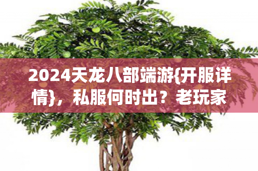 2024天龙八部端游图片