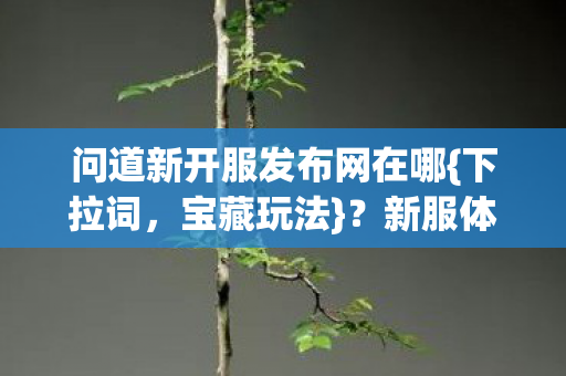 问道新开服发布网在哪图片