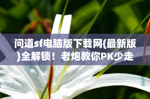 问道sf电脑版下载网图片