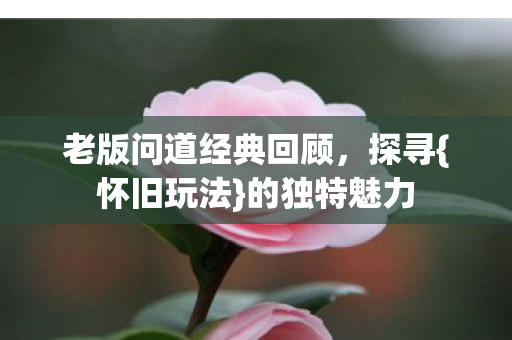 老版问道经典回顾图片