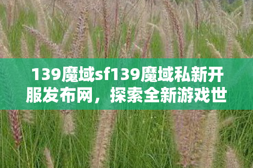 139魔域sf139魔域私新开服发布网图片