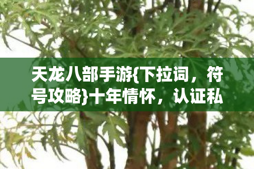认证私服选哪个图片