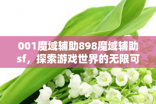 001魔域辅助898魔域辅助sf图片
