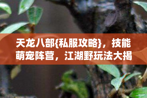 江湖野玩法大揭秘图片