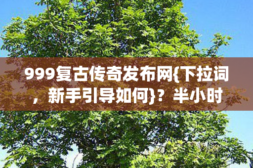 999复古传奇发布网图片