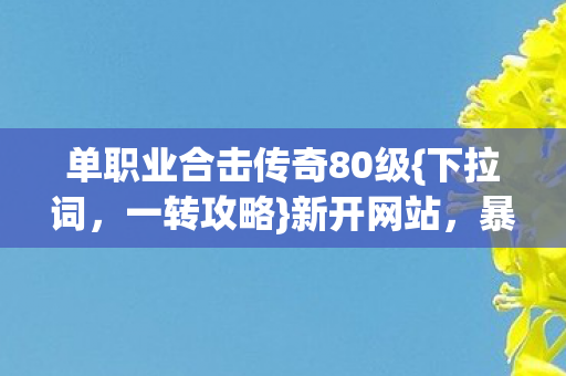 单职业合击传奇80级图片
