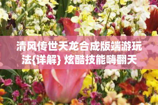 清风传世天龙合成版端游玩法图片