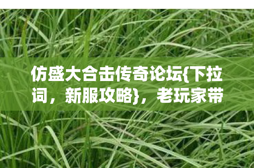 仿盛大合击传奇论坛图片