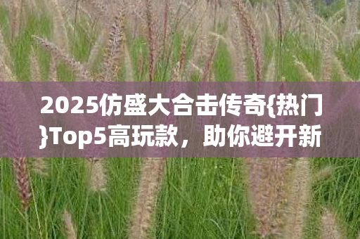 2025仿盛大合击传奇图片