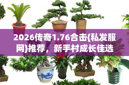 2026传奇1图片