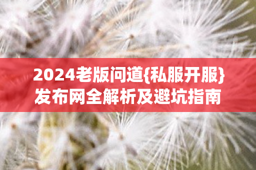 发布网全解析及避坑指南图片