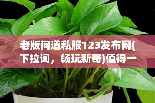 老版问道私服123发布网{下拉词，畅玩新奇}值得一试