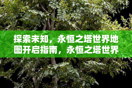 探索未知，永恒之塔世界地图开启指南，永恒之塔世界地图开启指南，探索未知之旅