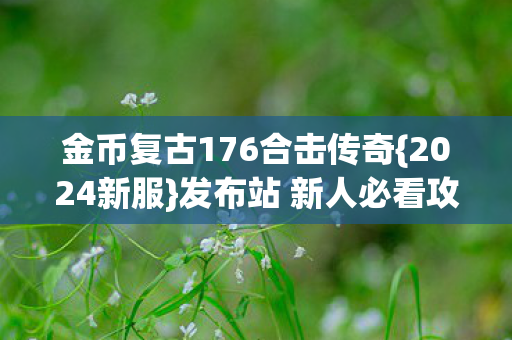 金币复古176合击传奇{2024新服}发布站 新人必看攻略 金币复古176合击传奇{2024新服}发布站 新人必看攻略