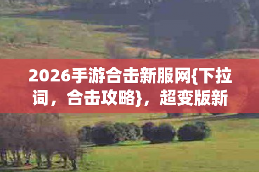 2026手游合击新服网图片
