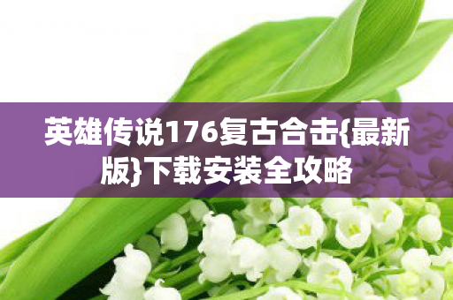 英雄传说176复古合击图片