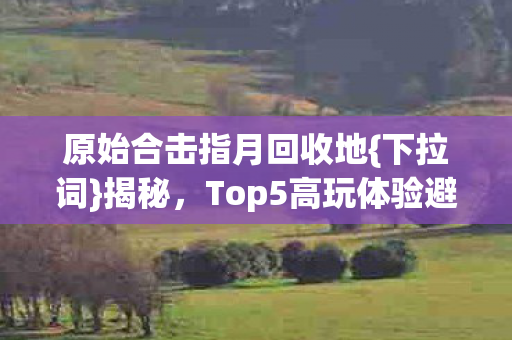 Top5高玩体验避新手雷区图片