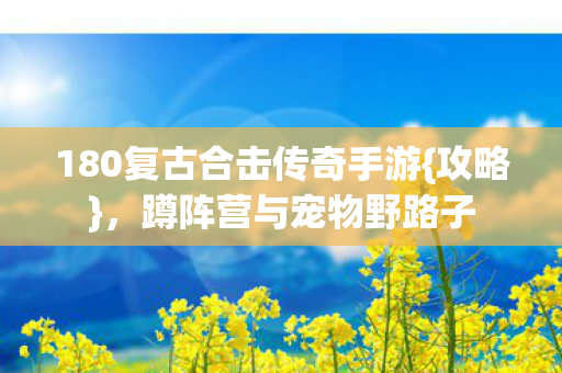 180复古合击传奇手游图片