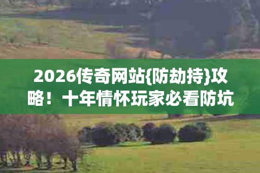 十年情怀玩家必看防坑指南图片