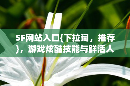 游戏炫酷技能与鲜活人格的盛宴图片