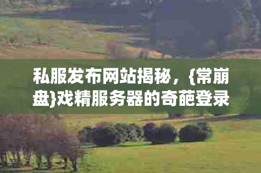 戏精服务器的奇葩登录法图片