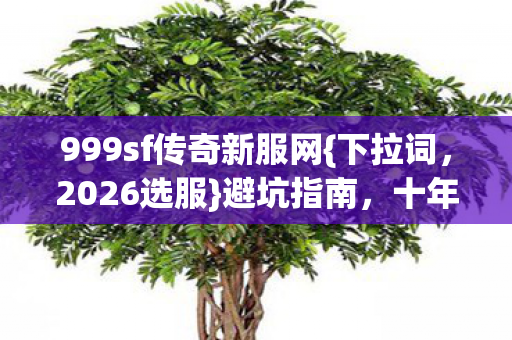 999sf传奇新服网图片