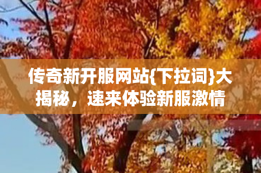 速来体验新服激情图片