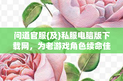 问道官服{及}私服电脑版下载网，为老游戏角色续命佳选
